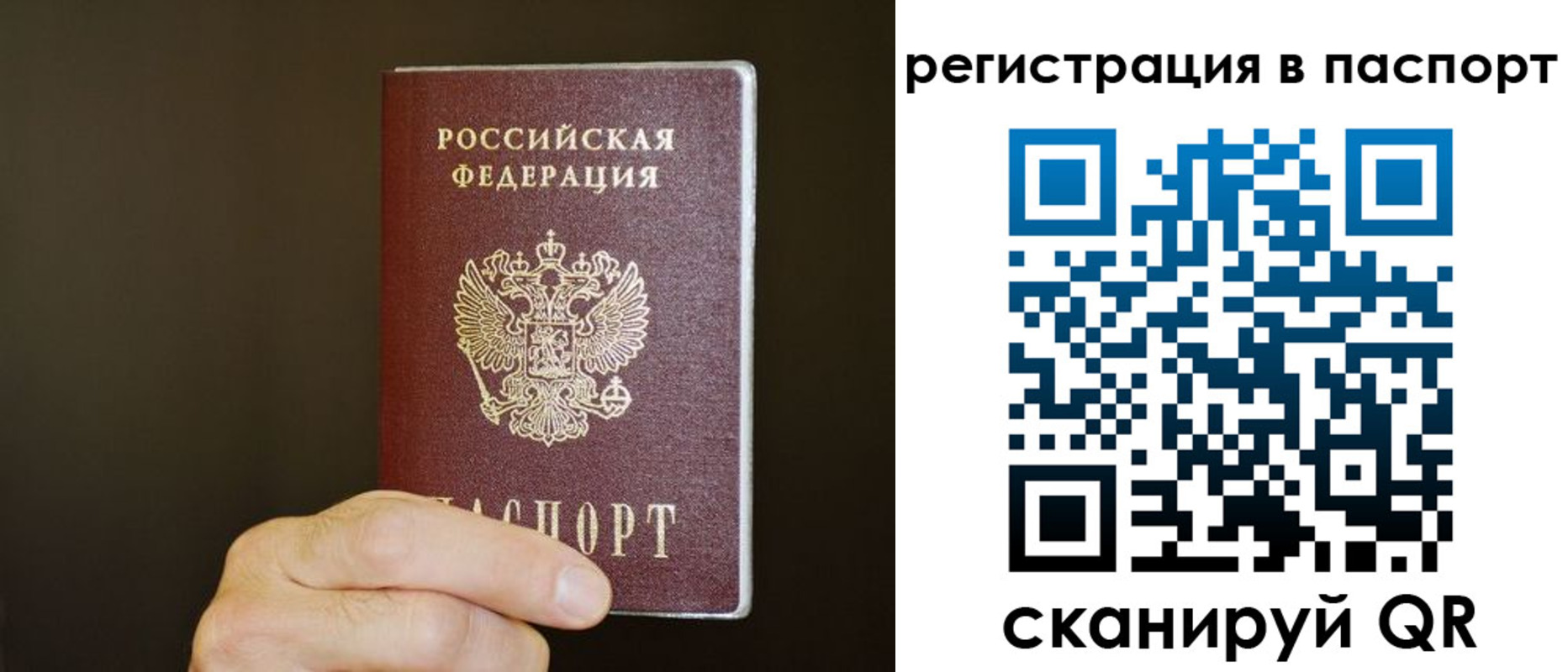 временная регистрация законно в Алексеевке